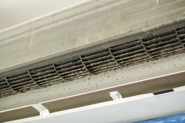 Best Home Air Vent Cleaning  in Akron, IN